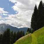 Almen-kraeuter-oberreiter *