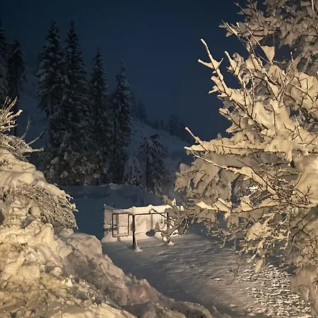 Almen-kraeuter-oberreiter 아파트