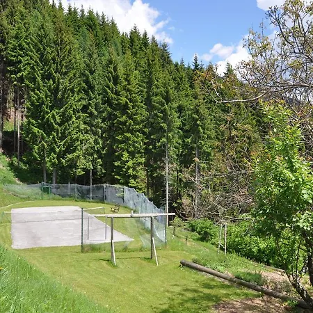 아파트 Almen-kraeuter-oberreiter Dellach im Drautal