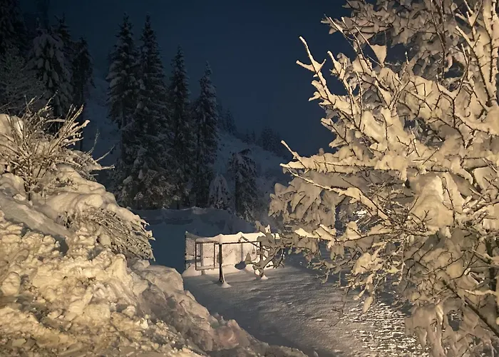 Almen-kraeuter-oberreiter Διαμέρισμα