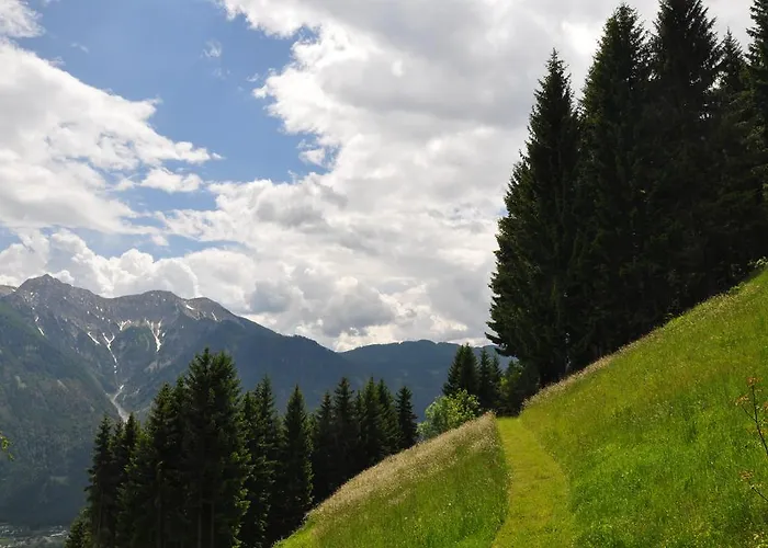 Almen-kraeuter-oberreiter *